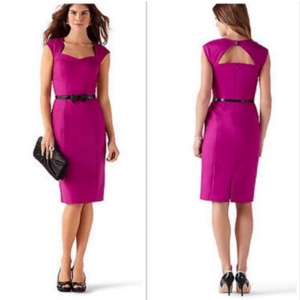 WHBM Very Berry purple belted sheath sweetheart short sleeve dress Sz 6